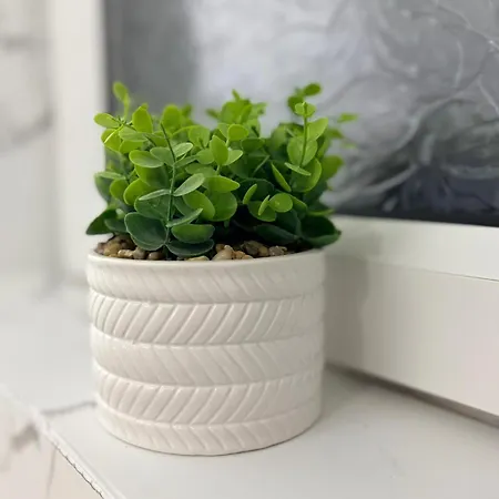 The Lonnin Nook Apartment