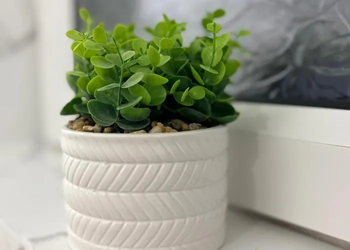 The Lonnin Nook Apartment